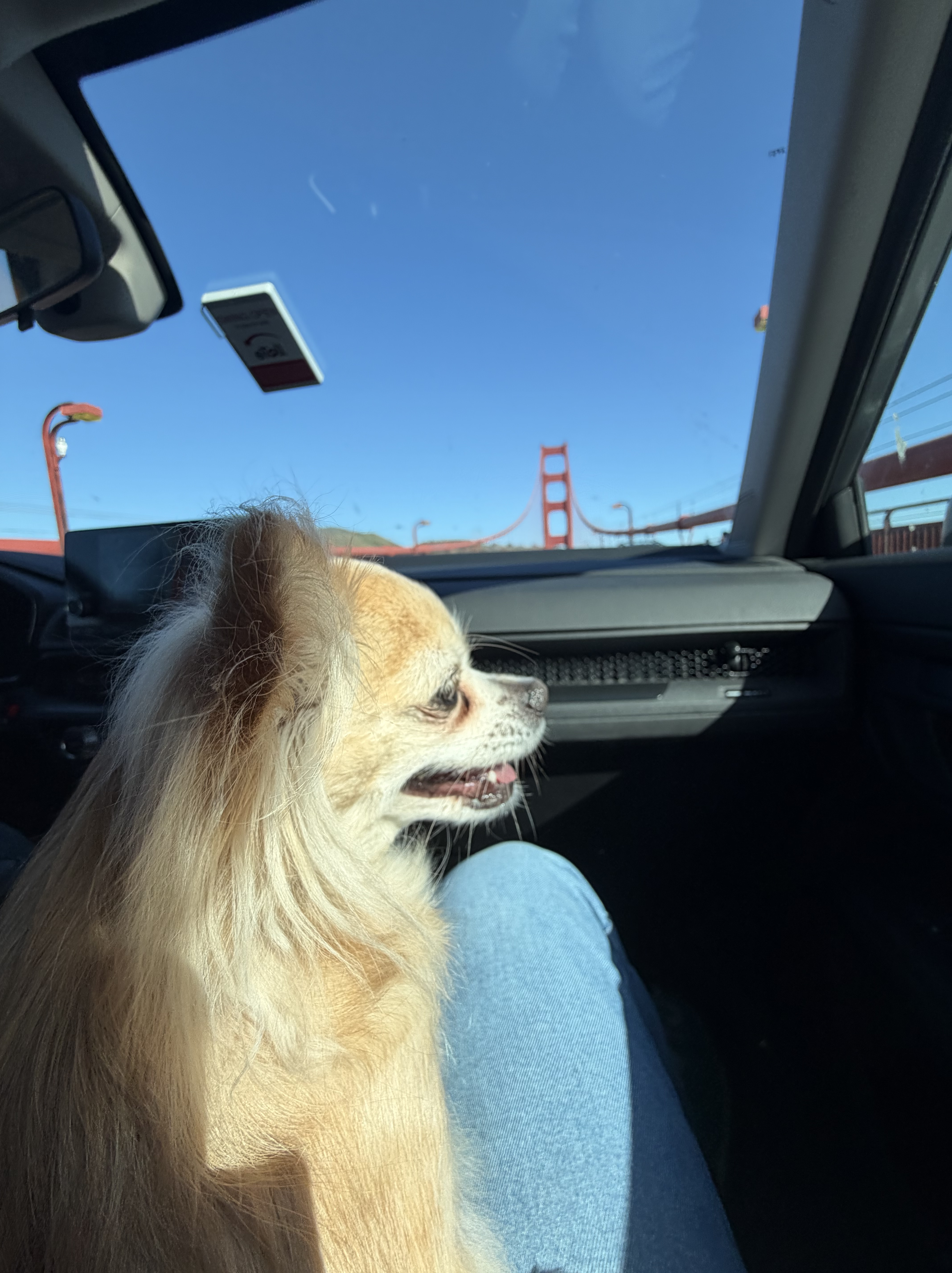 holli at golden gate bridge