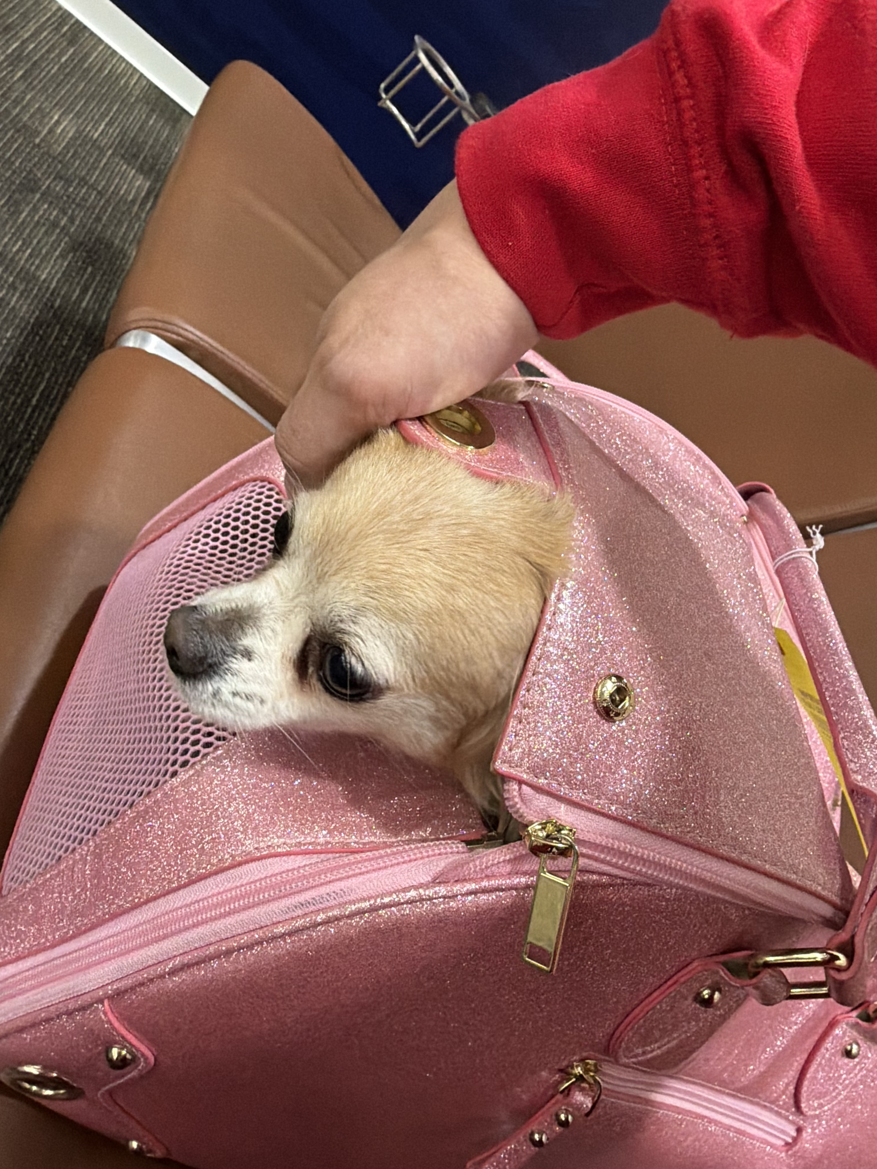 holli on the way to san francisco